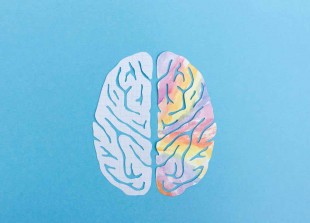 Left brain and right brain hemispheres represented by illustration with plain and colorful sides of brain on blue background.jpg